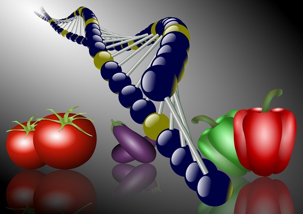 metabolismo