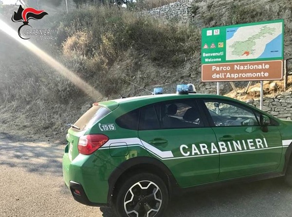 carabinieri forestali