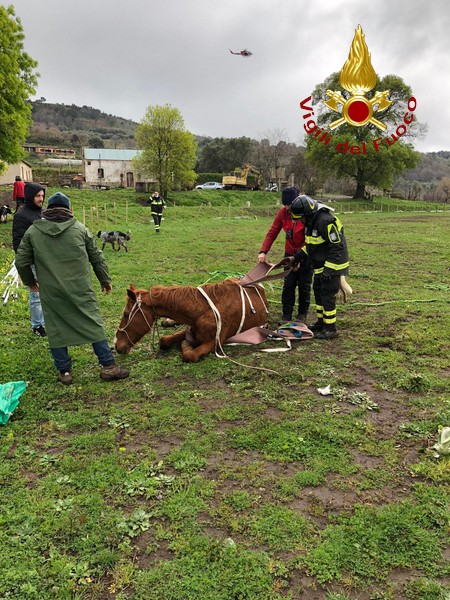recupero cavalli vigili del fuoco