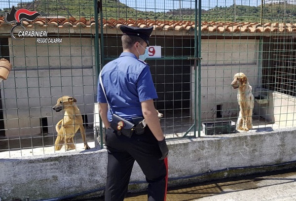 sequestro canile carabinieri