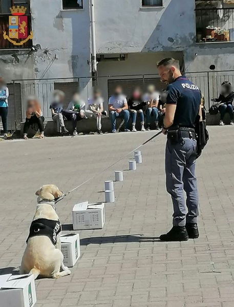 polizia di stato - vibo valentia