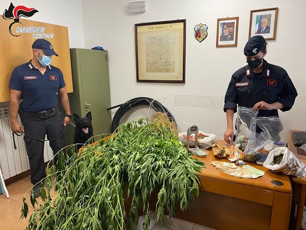 sequestro carabinieri cosenza