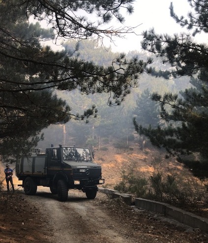 incendi parco nazionale aspromonte