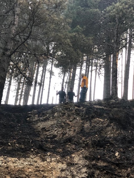 incendi parco nazionale aspromonte