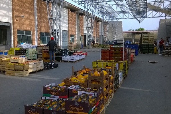 mercato ortofrutta mortara - reggio