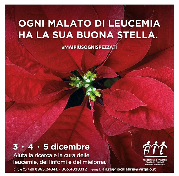 stelle natale ail 2021