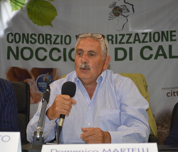 Domenico Martelli