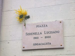 mimosa - Serenella Lucisano