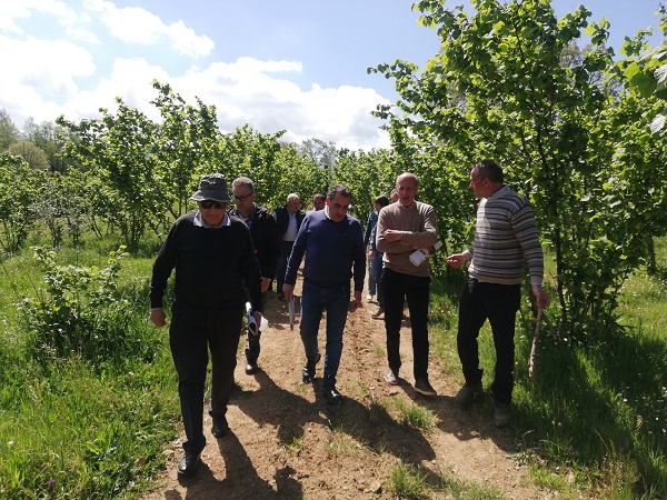 visita Valtifru - noccioleti bio calabria