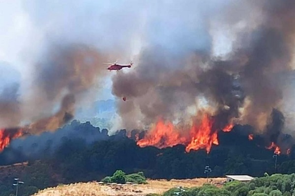 incendi calabria