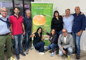 Consorzio Clementine IGP di Calabria