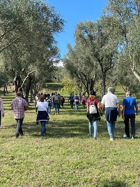 Camminata tra gli olivi - seminara