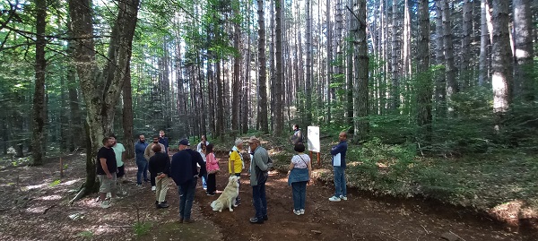 bosco dei 5 anelli - gambarie