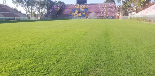 manto erboso stadio oreste granillo