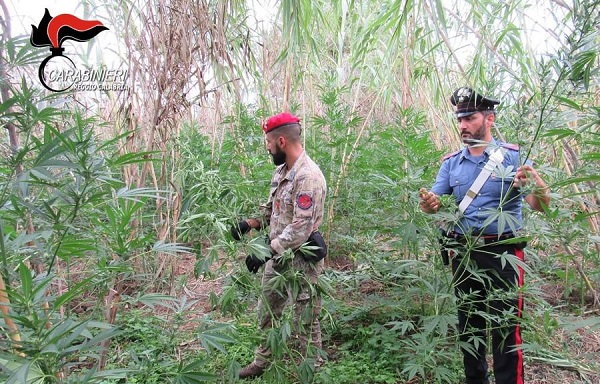 sequestro carabinieri gioia tauro