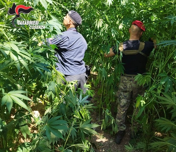 sequestro carabinieri - bonifati