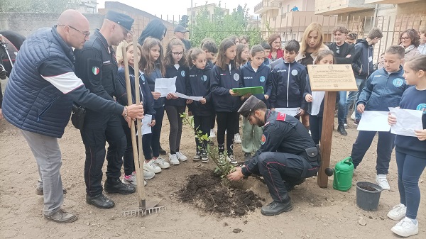 giornata degli alberi - carabinieri reggio