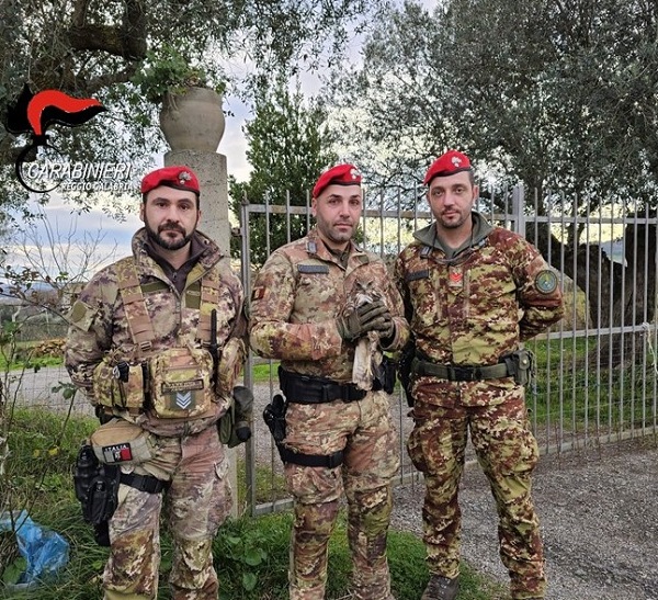 carabinieri cacciatori rosarno
