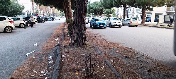 alberi da abbattere viale calabria - reggio