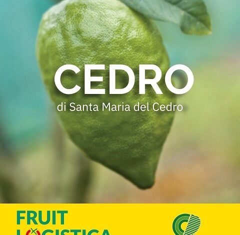 cedro Santa Maria del Cedro - Fruit Logistica berlino