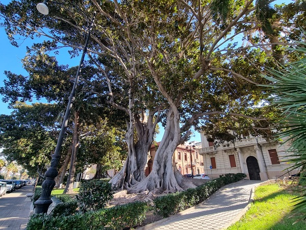 verde pubblico reggio calabria