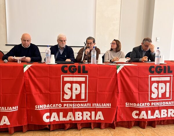 spi cgil - lamezia