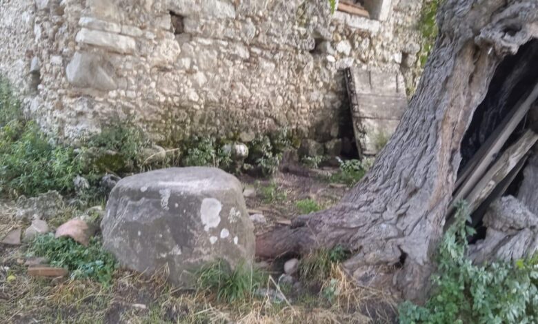 destinazione jassa - Paterno Calabro